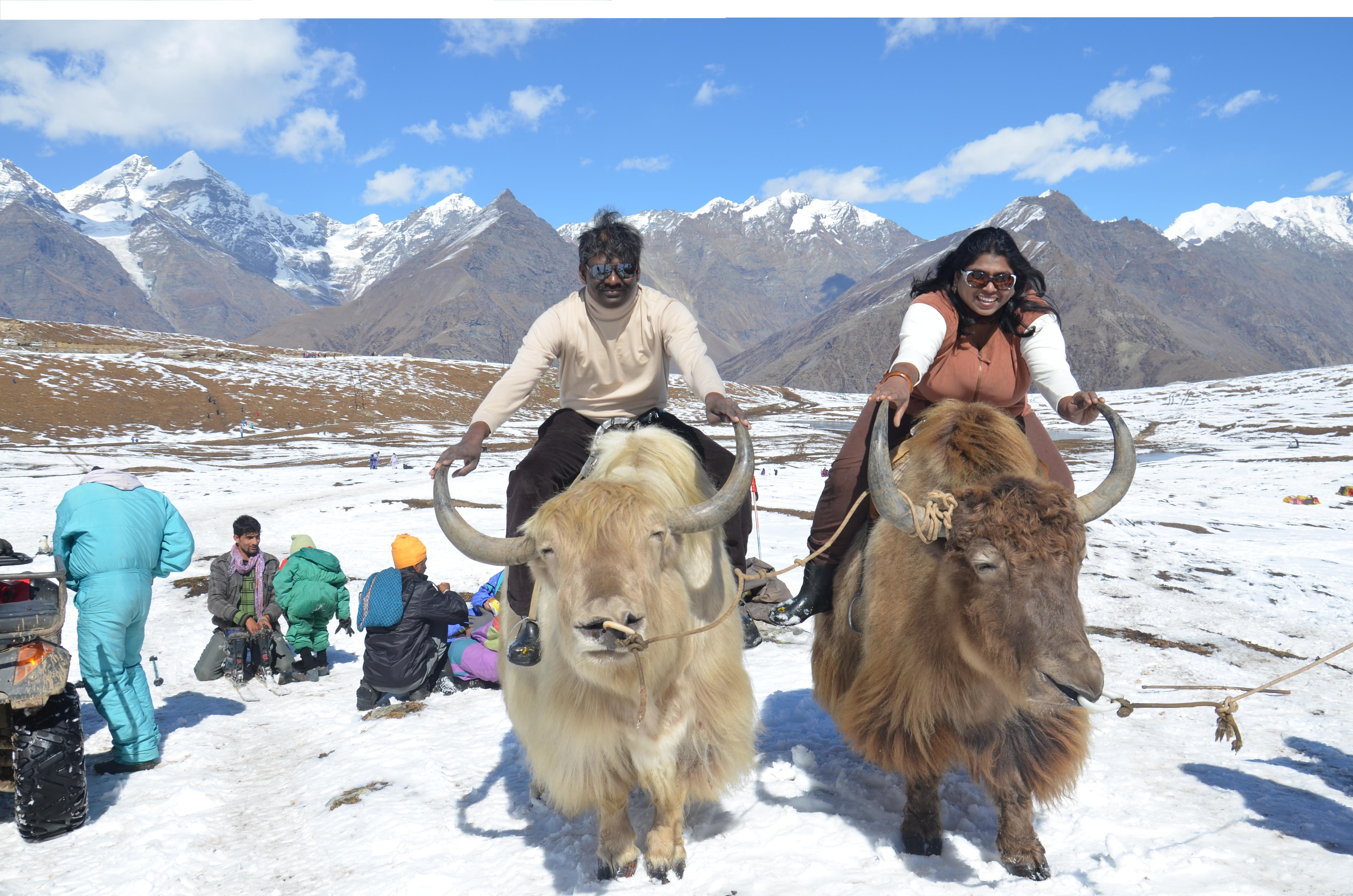 Manali-Kullu-Honeymoon